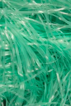 Turquoise shredded plastic fake Easter grass  Stock Photos