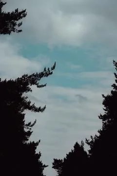 Turquoise sky Stock Photos