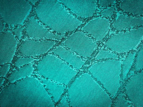 Turquoise Snakeskin Texture Pattern Scale Design Copy Space Green Background 写真素材