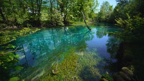 Turquoise spring river, lush green trees and transparent water at Sorgenti Stock Footage 340826456