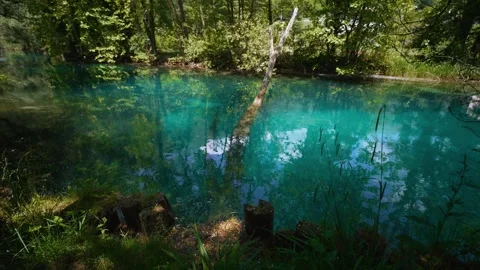 Turquoise spring river, lush green trees and transparent water at Sorgenti Stock Footage 340826521