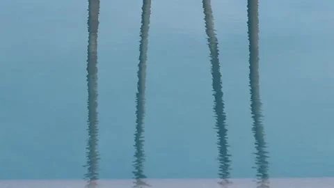 Turquoise surface of sunlit swimming pool.  Palm trees reflection refraction Stock Footage 266533841