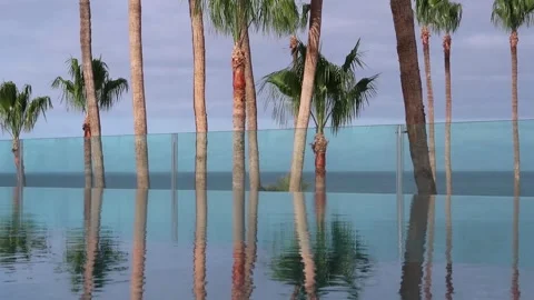 Turquoise surface of sunlit swimming pool.  Palm trees reflection refraction Stock Footage 266533960