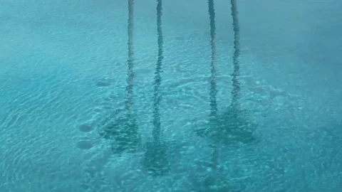 Turquoise surface of sunlit swimming pool.  Palm trees reflection refraction Stock Footage 266534251
