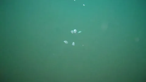 Turquoise underwater view with small air bubbles slowly rising, creating an Stock Footage 339779281