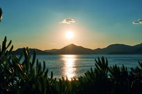 Turquoise view of the mountain range, setting sun and plants in front Stock Photos