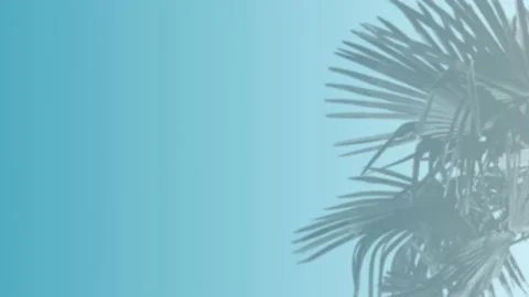 Turquoise wall with palm shadow - romantic palm leaves background Stock Footage 140043866