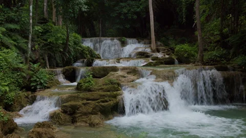 Turquoise Water Cascading Over Tiered Limestone Rocks In Lush Tropical Rain.. Video stock 338384705