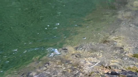 Turquoise Water from a mountain stream (slow motion) Stock-Footage 219635074