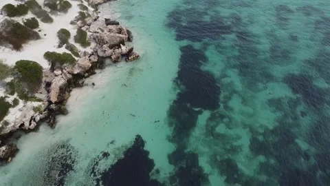 Turquoise Water at Sandy Cape Beach, Top Down Drone View Stockbeeldmateriaal 337470151