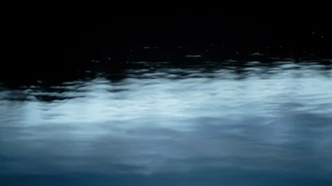 Turquoise water surface in pond Video stock 94885333