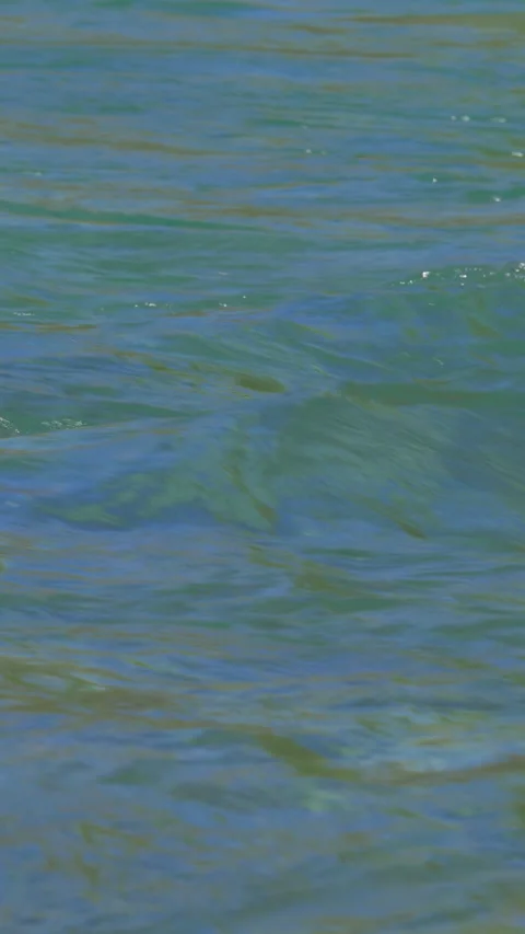 Turquoise Water Surface Ripples Close Up Vertical Video Stock-Footage 346000482