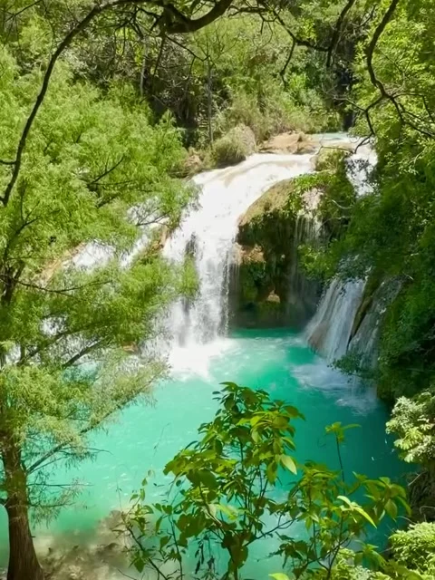 Turquoise Waterfall and Lush Green Forest Pool Vídeos de archivo 340264036