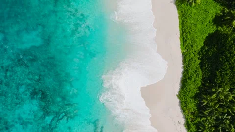 Turquoise waves and palm shadows on a sandy beach. Seychelles, Mahe. Stock Footage 301575319