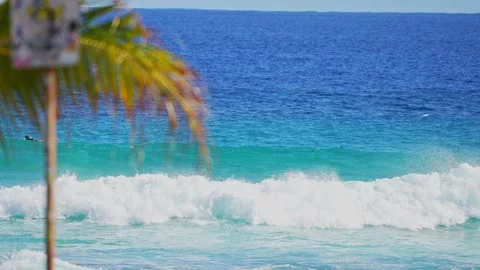 Turquoise Waves and Palm Tree on a Tropical Beach in Hawaii Vidéo 301642191