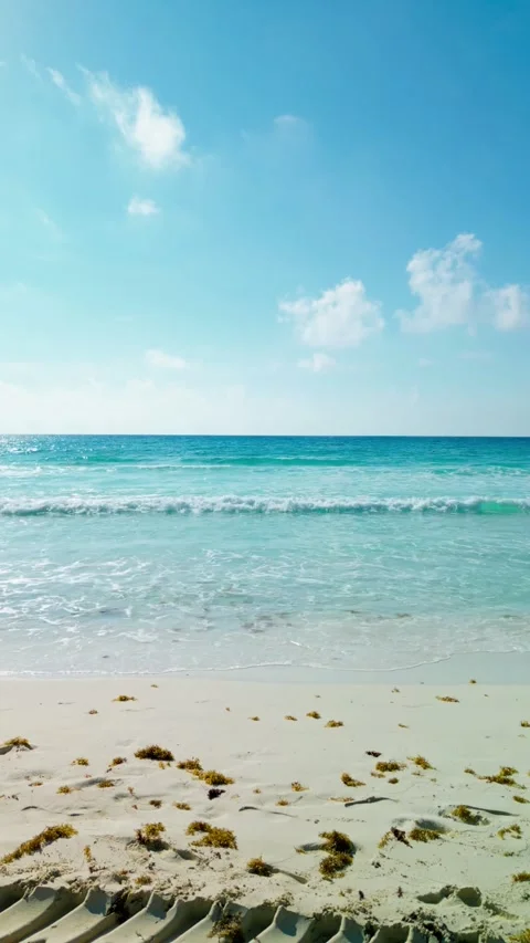 Turquoise waves breaking on a Caribbean beach under a blue sky Stock-Footage 342090291