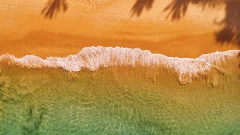 Turquoise waves on golden Phuket coastline casting palm shadows across pristine Stock Footage 312261153