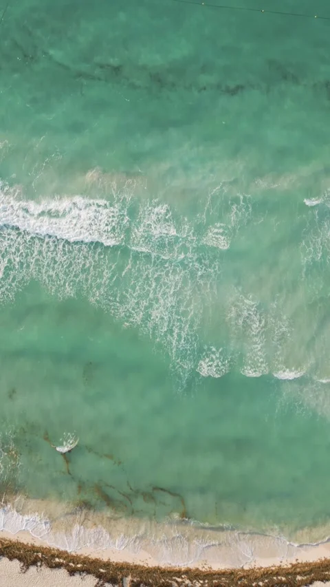 Turquoise waves meet a seaweed streaked shore Stock Footage 345682353
