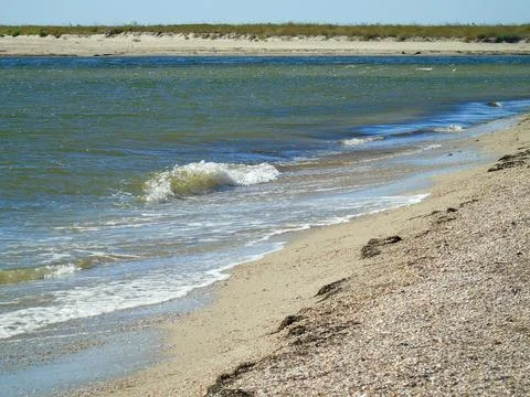 The turquoise waves of the sea roll onto the empty sandy beach with shells Stock Photos