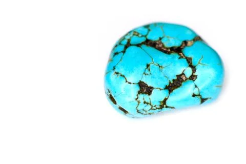 Turquoise on white background Stock Photos