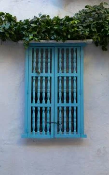 Turquoise window shutters on white wall with green vines Stock Photos