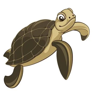 Turtle 001 Stock Illustration