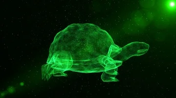 Turtle, abstract shelled animal walking through particles, fantasy 3D scene Stock Footage 85563193