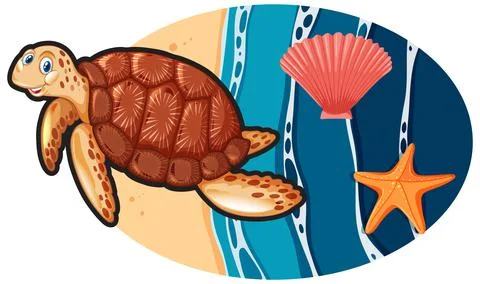 Turtle and shell in cartoon style Stock Illustration
