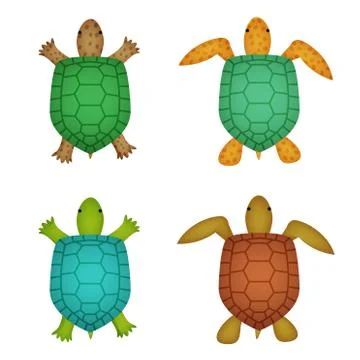Turtle and tortoise in realistic style, top view Stock Illustration