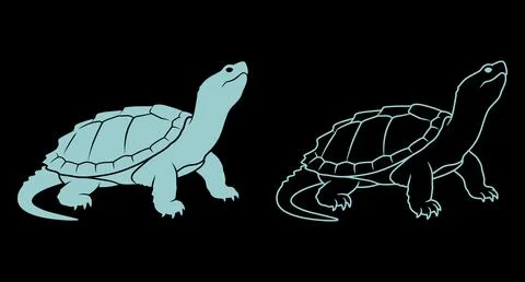 Turtle animal icon with solid silhouette and thin line outline style Stockillustratie