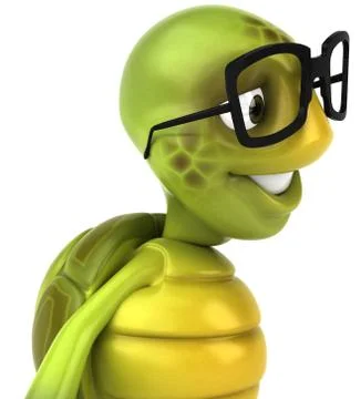 Turtle (animal) Illustrazione stock