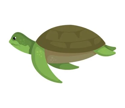 Turtle animal nature icon vector illustration Illustrazione stock