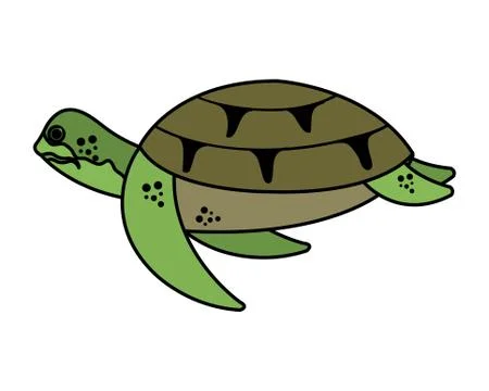 Turtle animal nature icon vector illustration イラスト素材