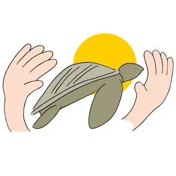 Turtle animal rights Stock Illustration