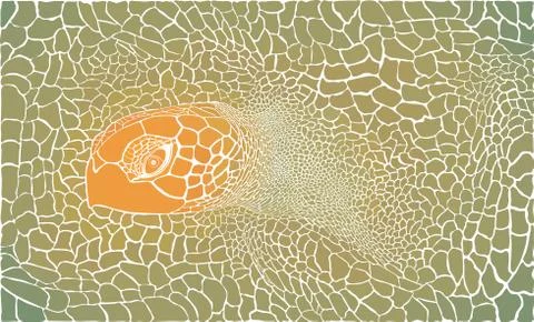 Turtle in the background イラスト素材