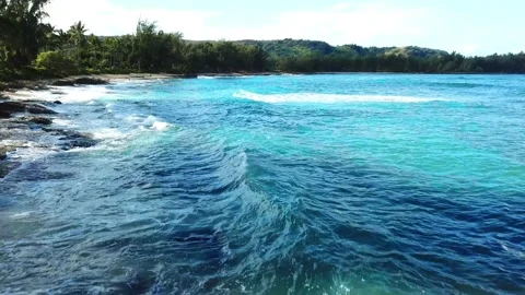 TURTLE BAY COVE SHORELINE Stock Footage 138544112