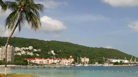 Turtle Beach Jamaica Stock Footage 800479