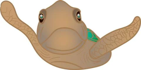 Turtle brown Illustrazione stock