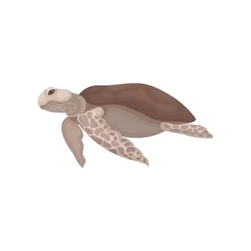 Turtle with brown shell, tortoise reptile animal, side view vector Illustration Illustrazione stock