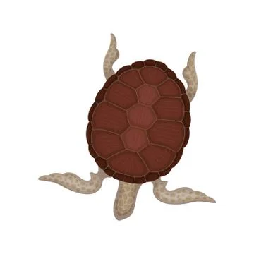 Turtle with brown shell, tortoise reptile animal, top view vector Illustration イラスト素材
