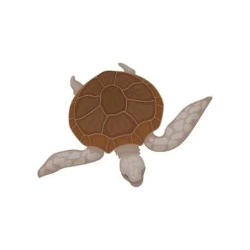 Turtle with brown shell, tortoise reptile animal vector Illustration on a white Stock Illustration