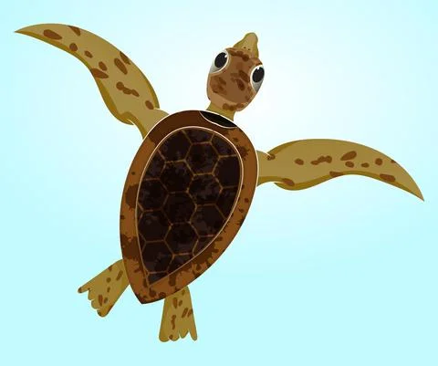 Turtle carton from up view Stock Illustration