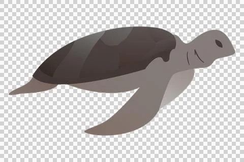 Turtle cartoon isotated on transparency background Stock Illustration
