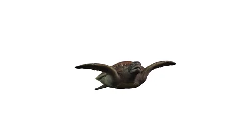 Turtle in cartoon style animation Stock Footage 151725427