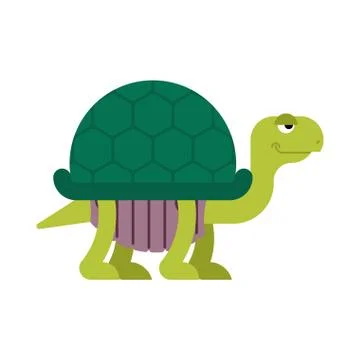 Turtle cartoon style isolated. tortoise Vector illustration. Illustrazione stock