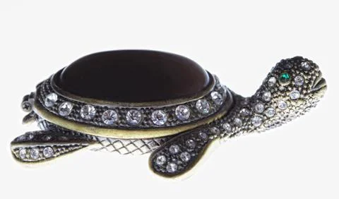Turtle casket Stock Photos