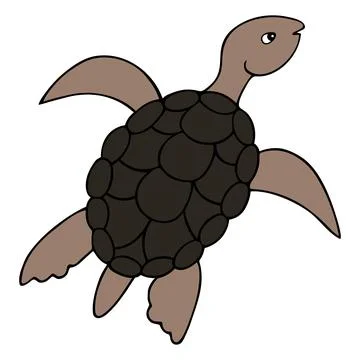 Turtle. Colored vector illustration. 스톡 일러스트