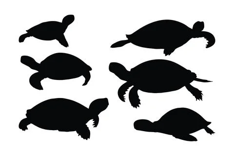 Turtle crawling in different positions, silhouette set vector. Adult turtle.. Stock Illustration