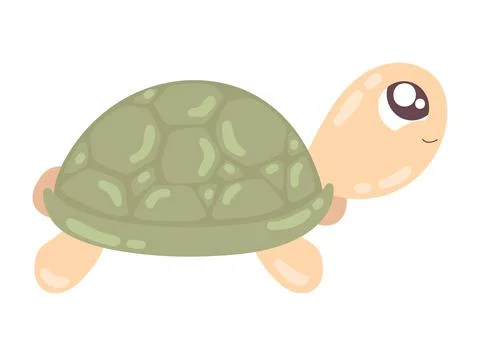 Turtle cute animal 스톡 일러스트