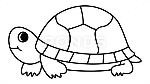 cute tortoise cartoon | Cute tortoise, Turtle images, Super hero coloring  sheets